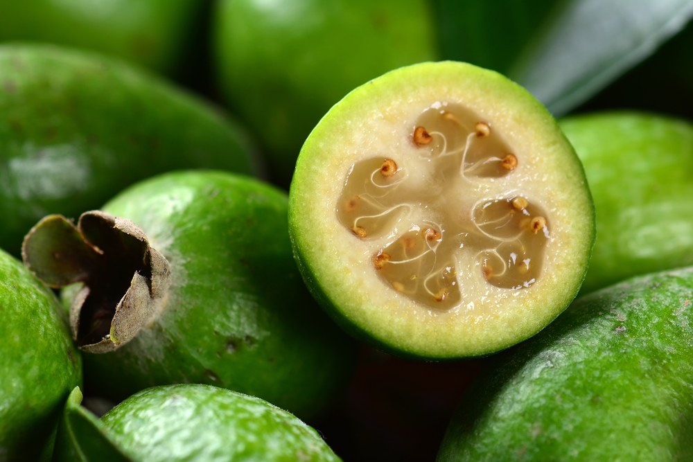 Benefícios da Feijoa - Fruta