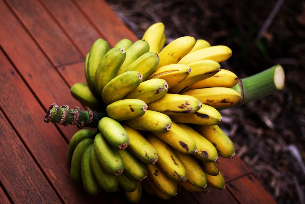 Benefícios da Banana Ouro
